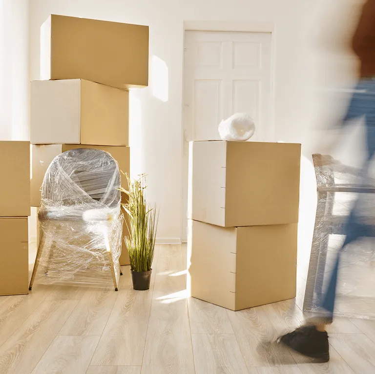 Der ultimative Guide für ein frisches Zuhause